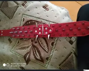 Ошейник для собак с шипами