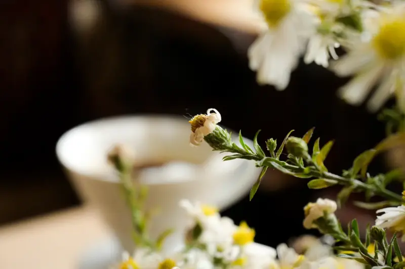 Nikon Z50 DX 16-50 kit фотоаппарат - Вся Беларусь - 235918 - Доска объявлений Kupika.by - Фото 10