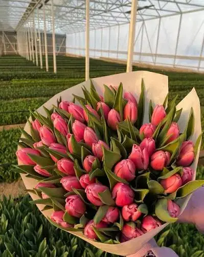 Тюльпаны к 4-8 марта - Вся Беларусь - 238496 - Доска объявлений Kupika.by - Фото 2