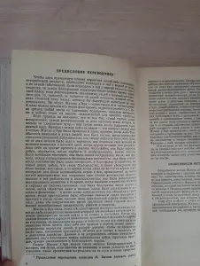 Книга. ЖАННА Д'АРК. Роман.