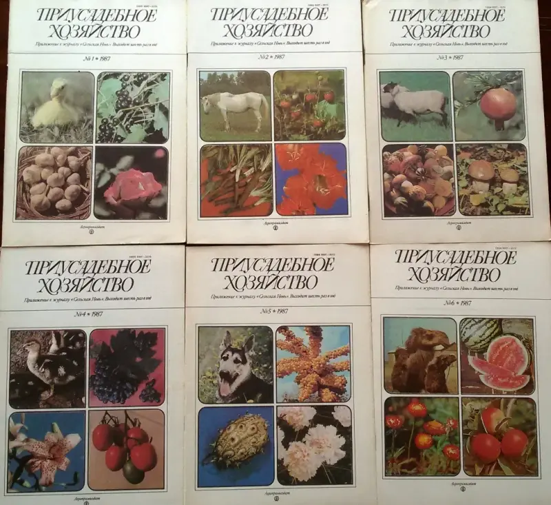 Приусадебное хозяйство, жур-лы -цена за 6шт - Вся Беларусь - 236717 - Доска объявлений Kupika.by - Фото 2