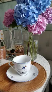 Польская фарфоровая пара,-серия 'Rococo, гусь'