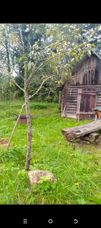 Участок с домом деревня Межно