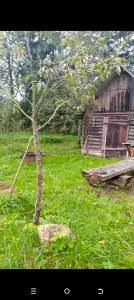 Участок с домом  деревня Межно