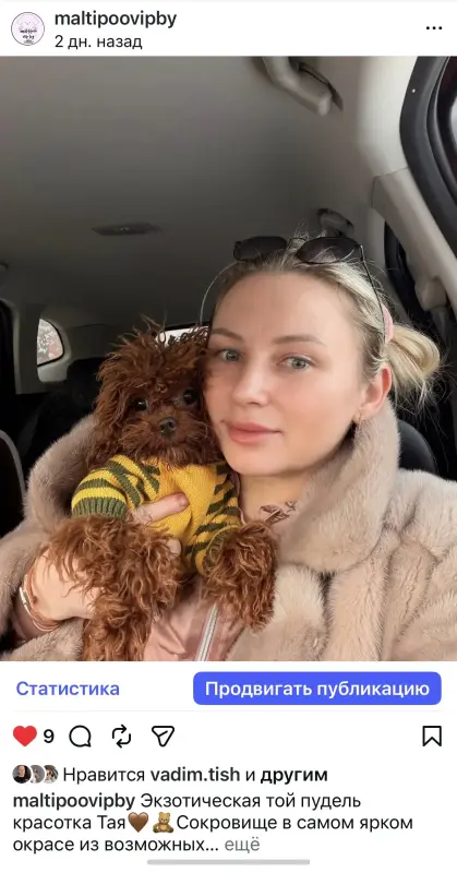 Элитные мини микро мальтипу той пудель пушон - Корма - 238247 - Доска объявлений Kupika.by - Фото 3