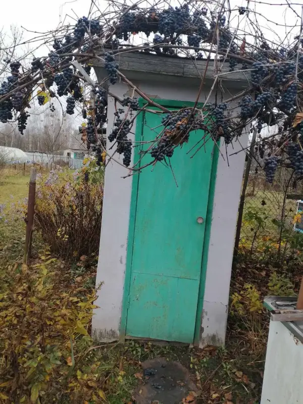 продажа Дачи