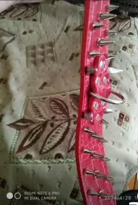 Ошейник для собак с шипами