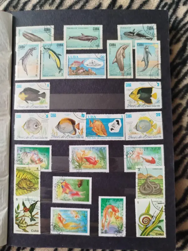 Марки - Вся Беларусь - 236236 - Доска объявлений Kupika.by - Фото 8