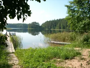 Дом на берегу лесного озера вблизи санатория продаю или обменяю