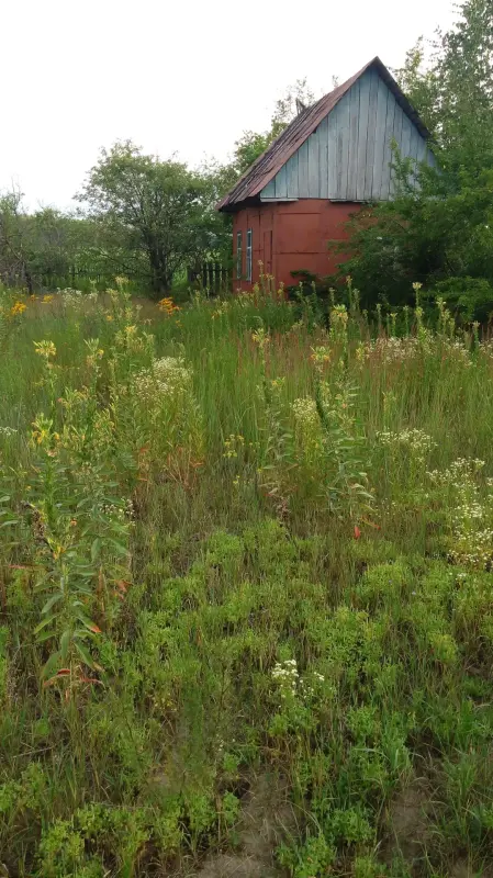 Дача поселок Баштан - Вся Беларусь - 236269 - Доска объявлений Kupika.by - Фото 4