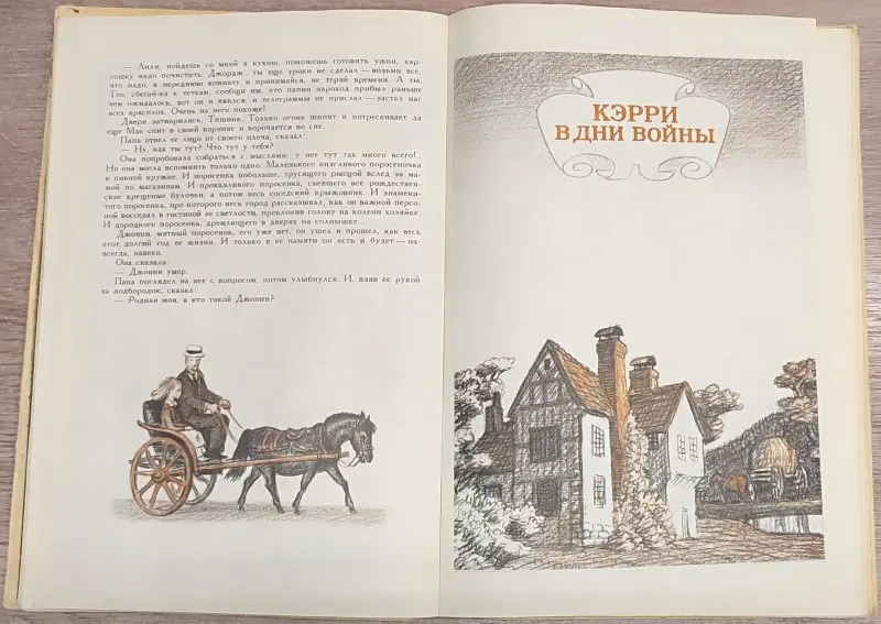Нина Бодэн - Сбежавшее лето - Вся Беларусь - 236632 - Доска объявлений Kupika.by - Фото 6