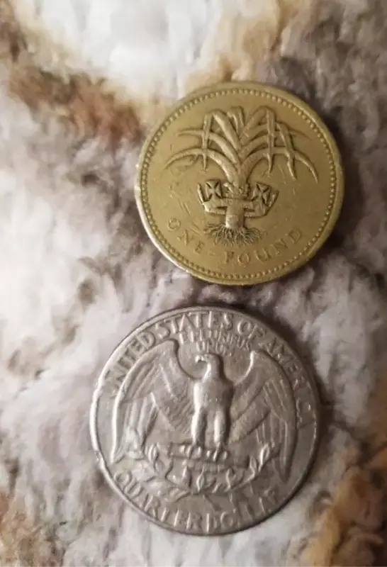 Монеты в коллекцию - Вся Беларусь - 236663 - Доска объявлений Kupika.by - Фото 2