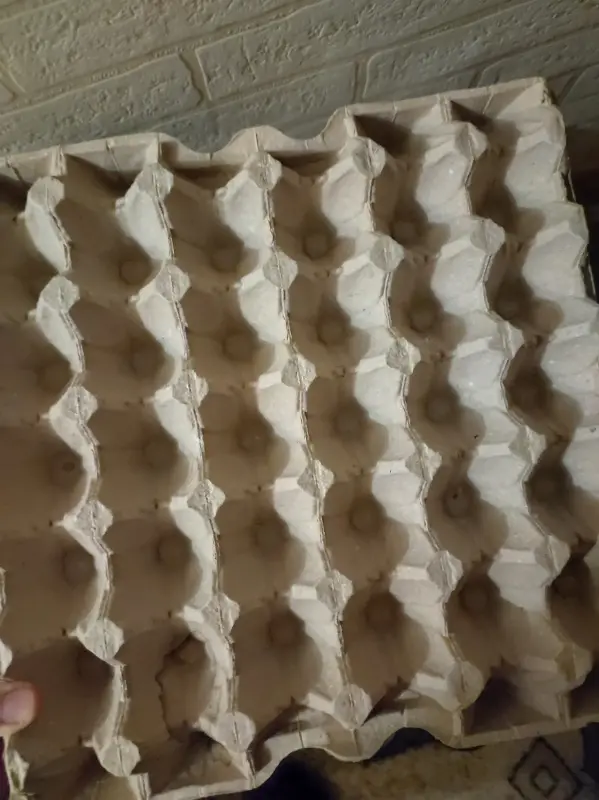 Лотки от яиц 30ячеек больше 80 штук за все 9руб