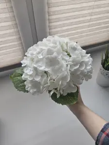 Цветок гортензия в вазу для декора