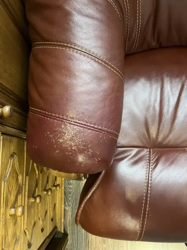 Диван натуральная кожа - Вся Беларусь - 237098 - Доска объявлений Kupika.by - Фото 3