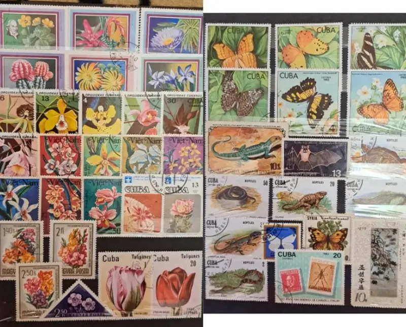 Коллекционирование - Альбом с марками-310шт - Вся Беларусь - Фото 7 Альбом с марками-310шт - Вся Беларусь - 236555 - Доска объявлений Kupika.by - Фото 7