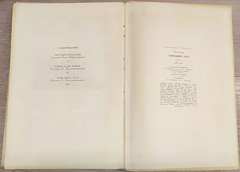 Нина Бодэн - Сбежавшее лето - Вся Беларусь - 236632 - Доска объявлений Kupika.by - Фото 8