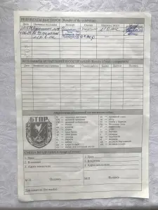 Щенки англо-русской гончей