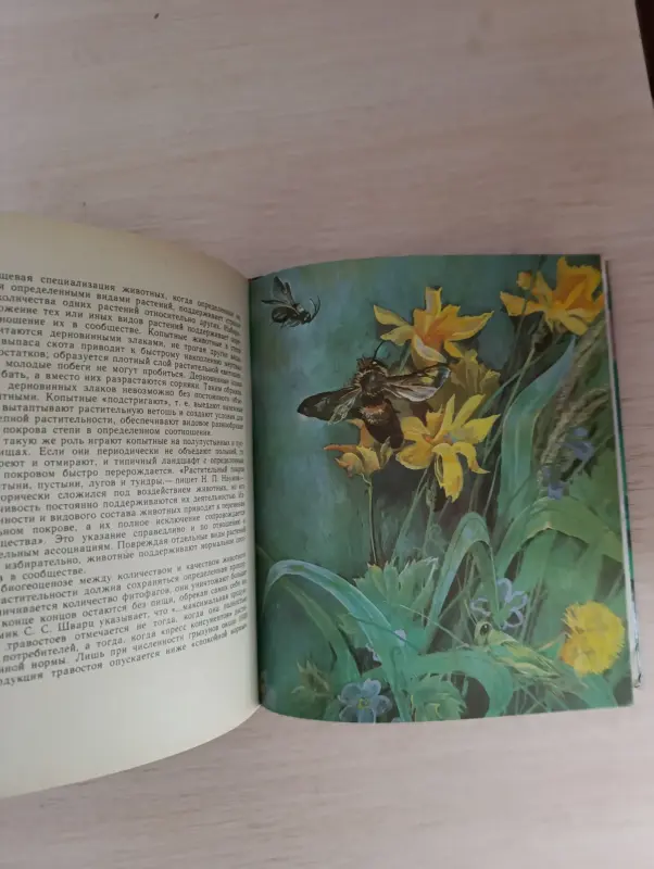 Книга. Животные и растения. - Вся Беларусь - 236472 - Доска объявлений Kupika.by - Фото 5