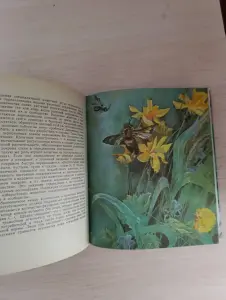 Книга. Животные и растения.