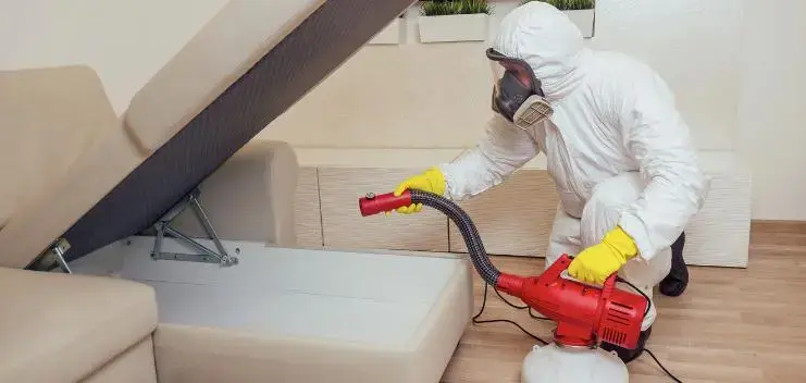 Дезинсекция. Дезинфекция. Уничтожение тараканов, клопов, блох и др.