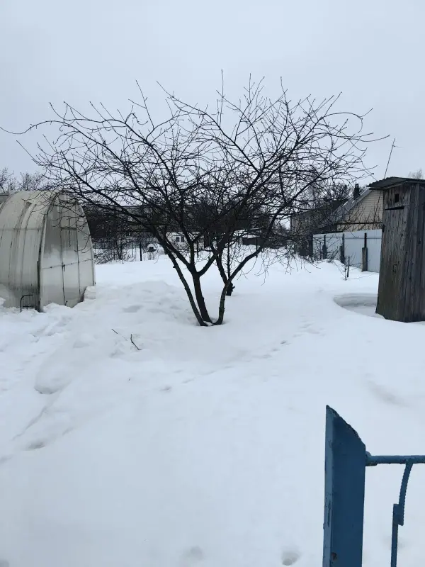 Продажа пол дома, Рогачёв - Вся Беларусь - 237091 - Доска объявлений Kupika.by - Фото 2