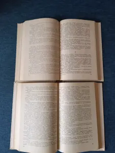 Книги. Роман в 2 книгах. Щит и Меч.