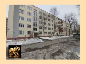 2 комнатная квартира в сердце Минска