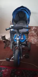 Коляска-велосипед