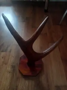 Рога лося на медальоне