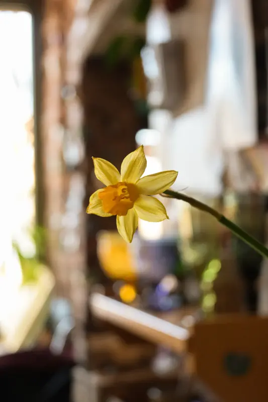 Nikon Z50 DX 16-50 kit - Вся Беларусь - 235918 - Доска объявлений Kupika.by - Фото 7