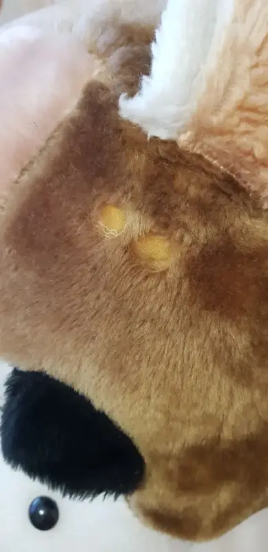 Мягкая игрушка - Большая Собака, 60 см - Вся Беларусь - 235636 - Доска объявлений Kupika.by - Фото 2