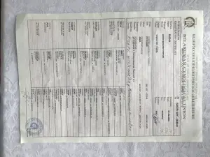 Щенки англо-русской гончей