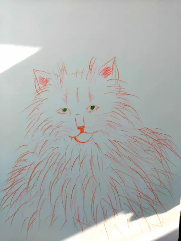 Картина кот