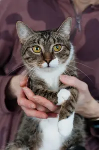 Михалина - кроткая малышка