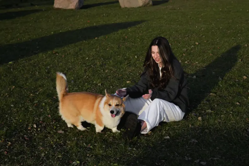 Nikon Z50 DX 16-50 kit фотоаппарат - Вся Беларусь - 235918 - Доска объявлений Kupika.by - Фото 13