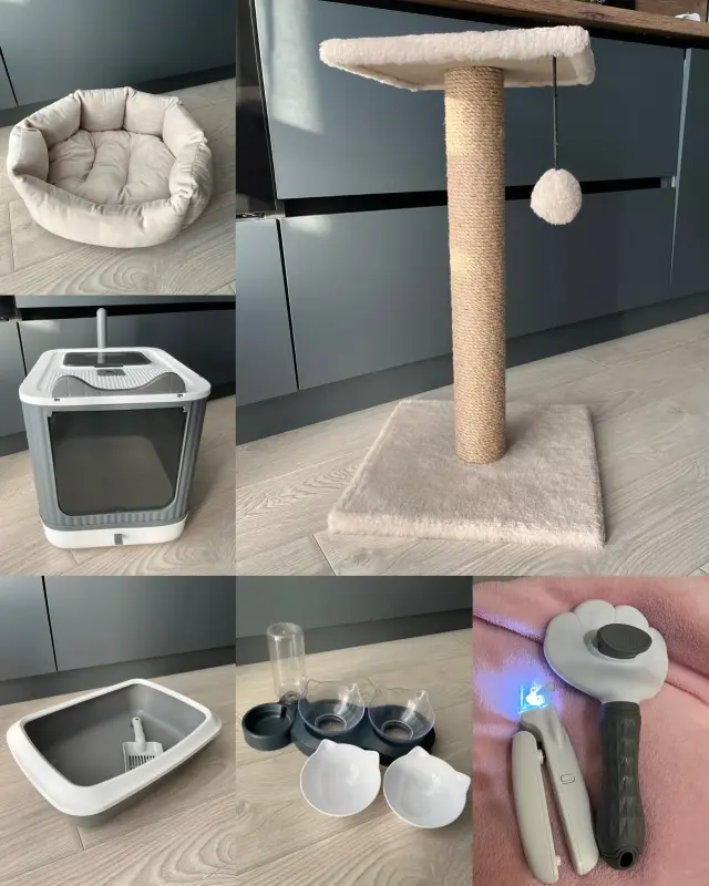 Лот для Вашего кота