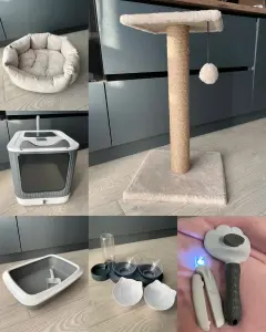 Лот для Вашего кота