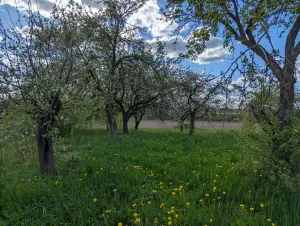 Участок 73 сотки в деревне под строительство и обслуживание жилого дома деревня Карпиловка