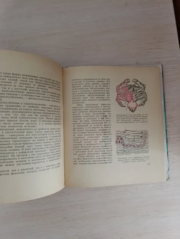 Книга. Животные и растения. - Вся Беларусь - 236472 - Доска объявлений Kupika.by - Фото 6