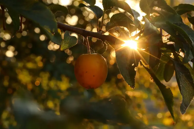 Коммерческий фотограф для Вашего бизнеса - Вся Беларусь - 220194 - Доска объявлений Kupika.by - Фото 8