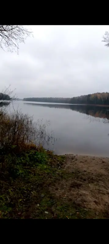 Участок с домом - Вся Беларусь - 237089 - Доска объявлений Kupika.by - Фото 4