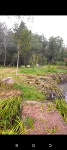 Участок с домом  деревня Межно