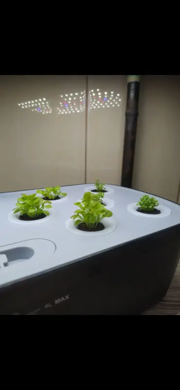 Техника для дома - Гидропонная система для выращивания растений - Вся Беларусь - Фото 4 Гидропонная система для выращивания растений - Вся Беларусь - 235822 - Доска объявлений Kupika.by - Фото 4