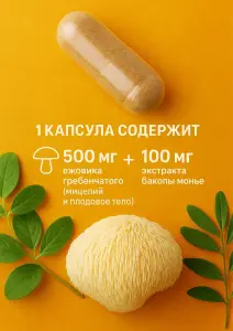Ежовик гребенчатый мицелий 500мг + Бакопа монье 100мг