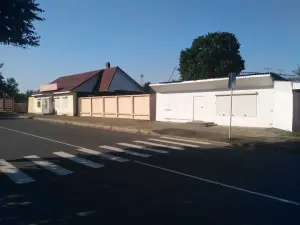 Комплекс зданий магазина по ул К. Маркса 220