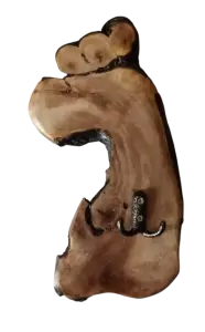 Вешалки из дуба