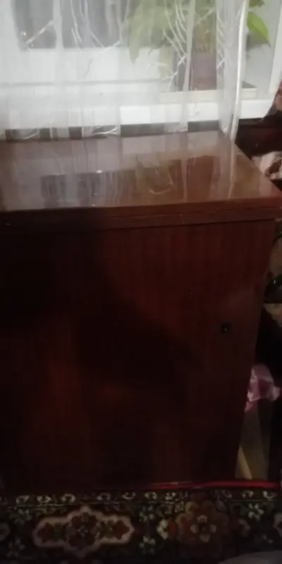 Швейная машина Орша