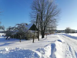 Дом в д.Пруды,2 озера, река, Налибокская пуща,76 км от МКАД