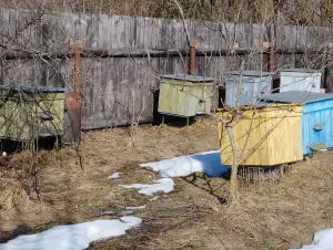 Все для пчеловодства